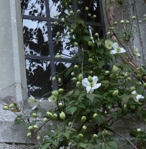 Bois des Moutiers (71) Mai 2012